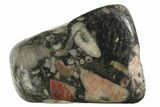 Tumbled Crinoidal Limestone Pieces - Fossil Crinoids - Photo 3